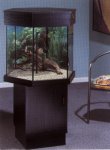 Ein Sechseck Aquarium
