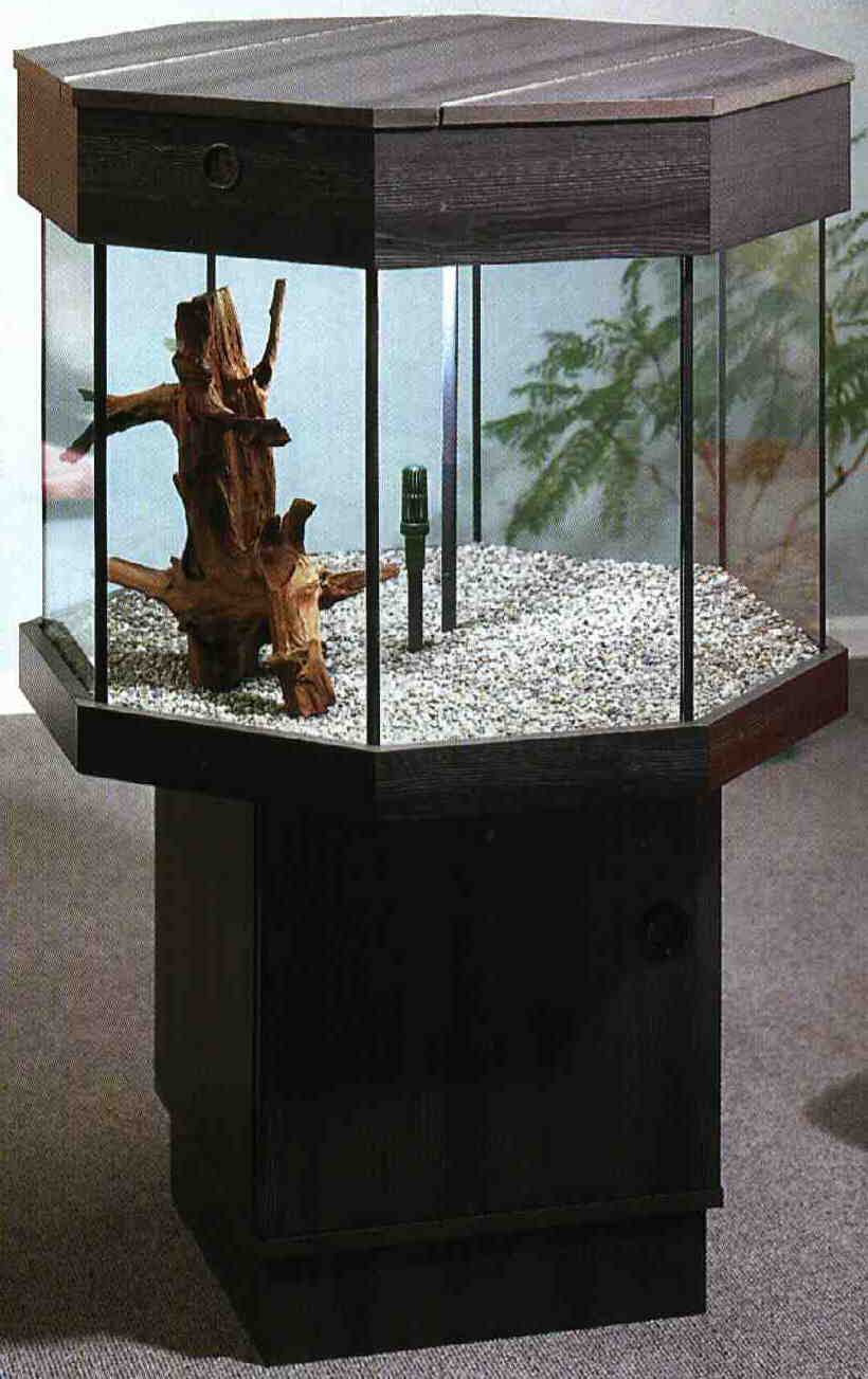 Ein Achteck Aquarium
