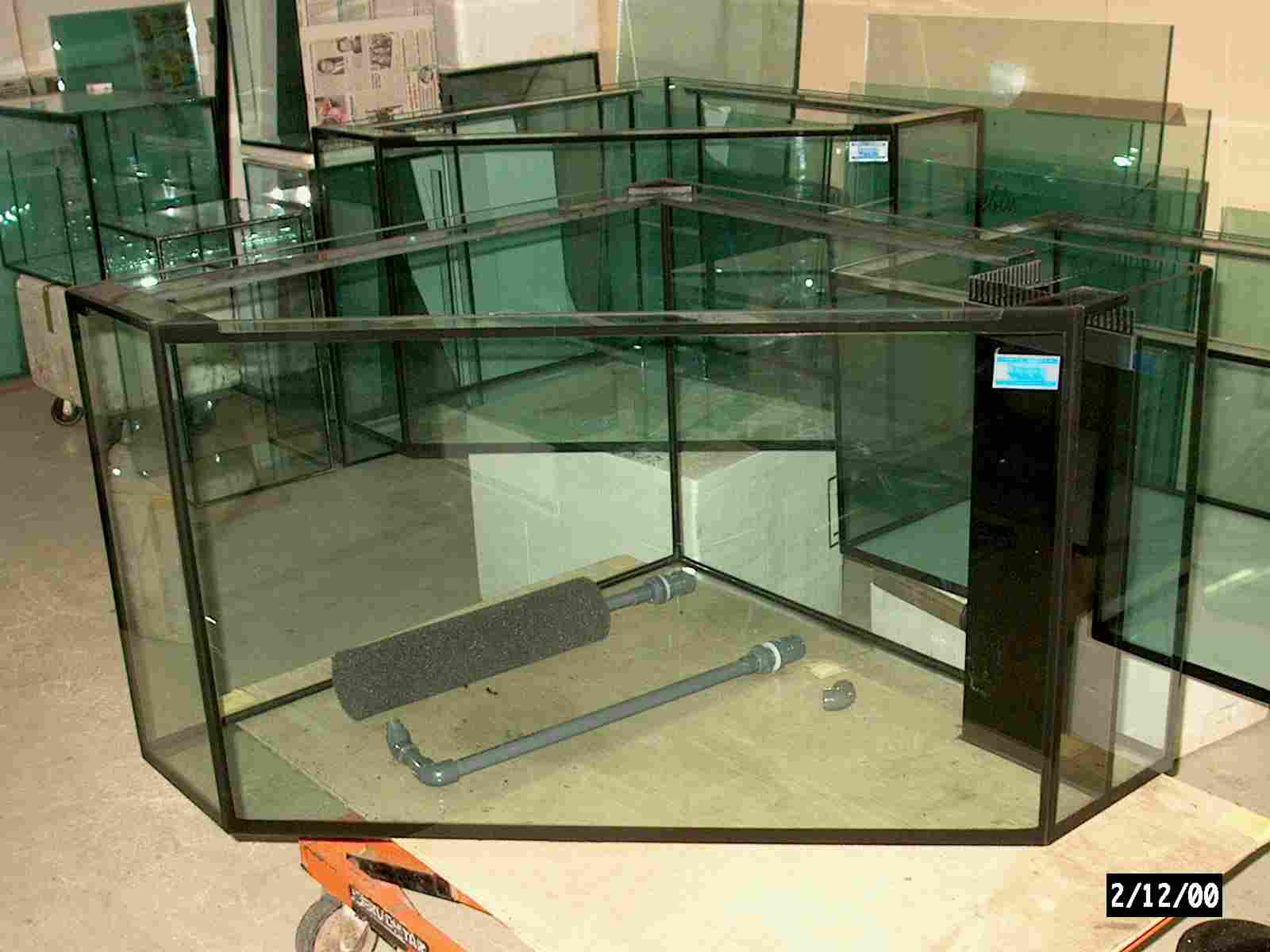 Ein Fnfeck Aquarium