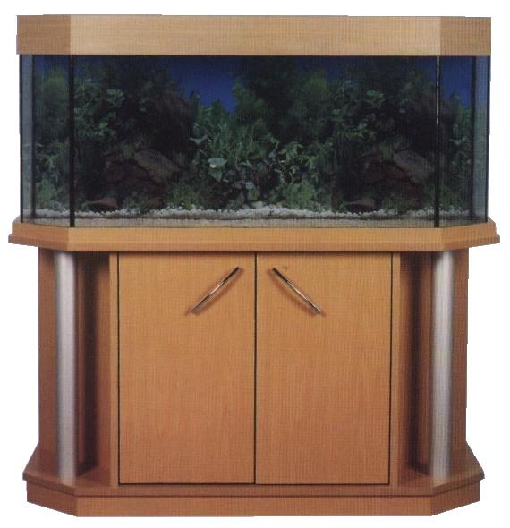 Bilder aus der Galerie