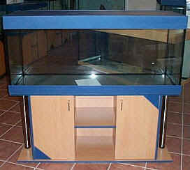 Bilder aus der Galerie