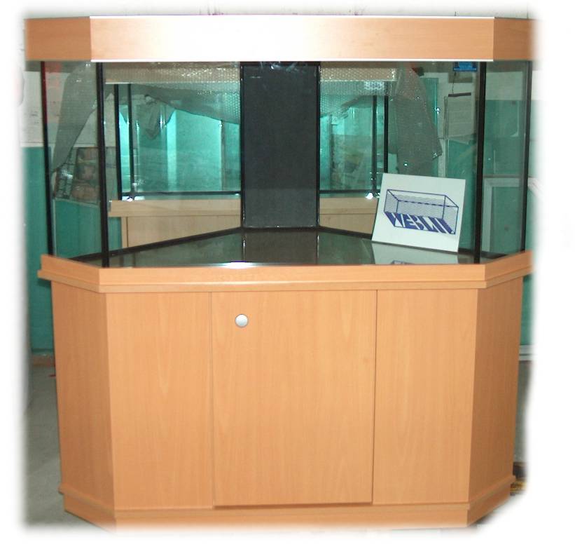 Bilder aus der Galerie