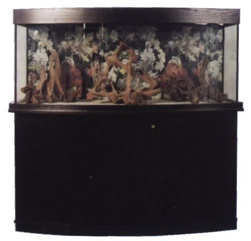 Bilder aus der Galerie