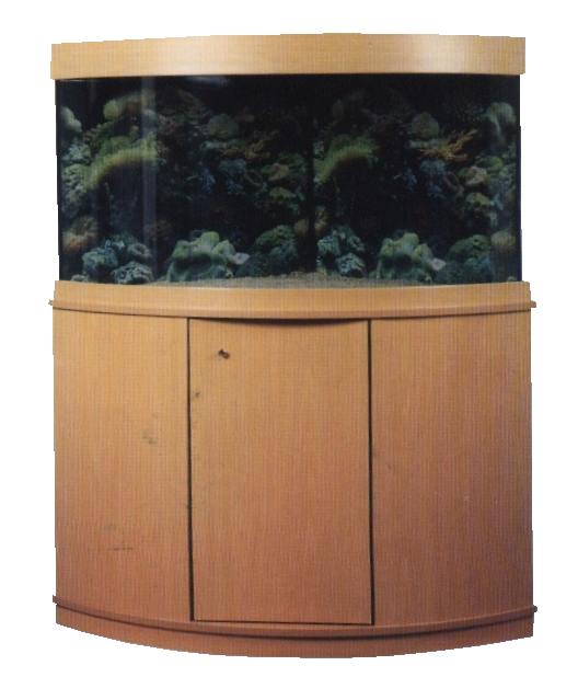 Bilder aus der Galerie