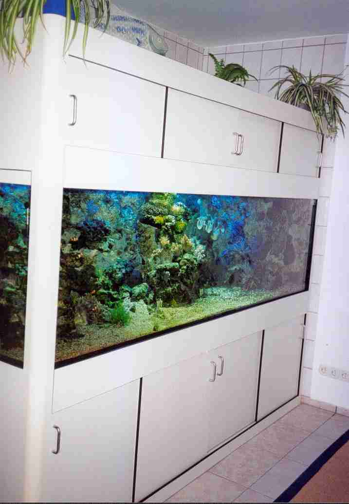 Bilder aus der Galerie