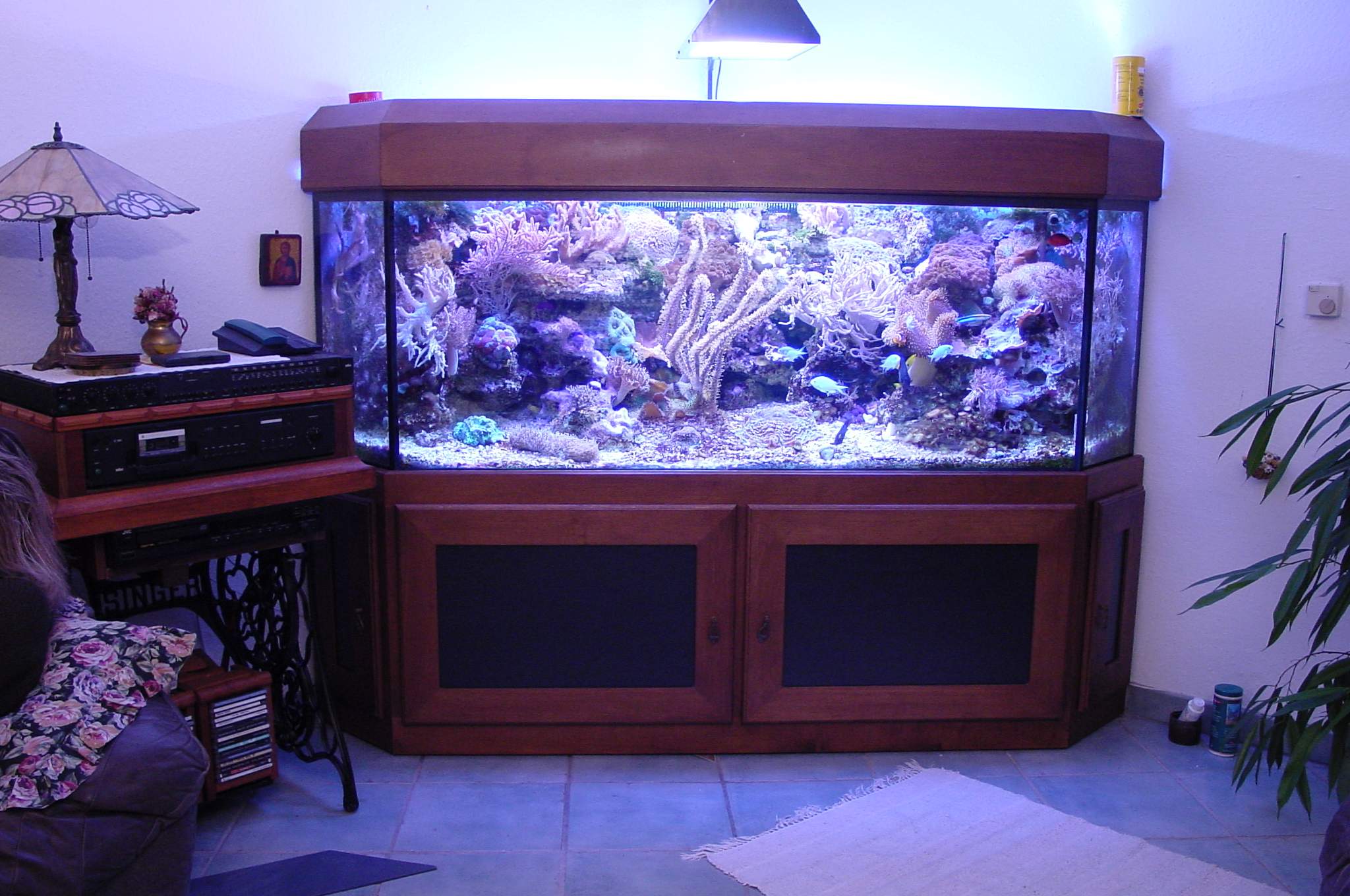 Bilder aus der Galerie