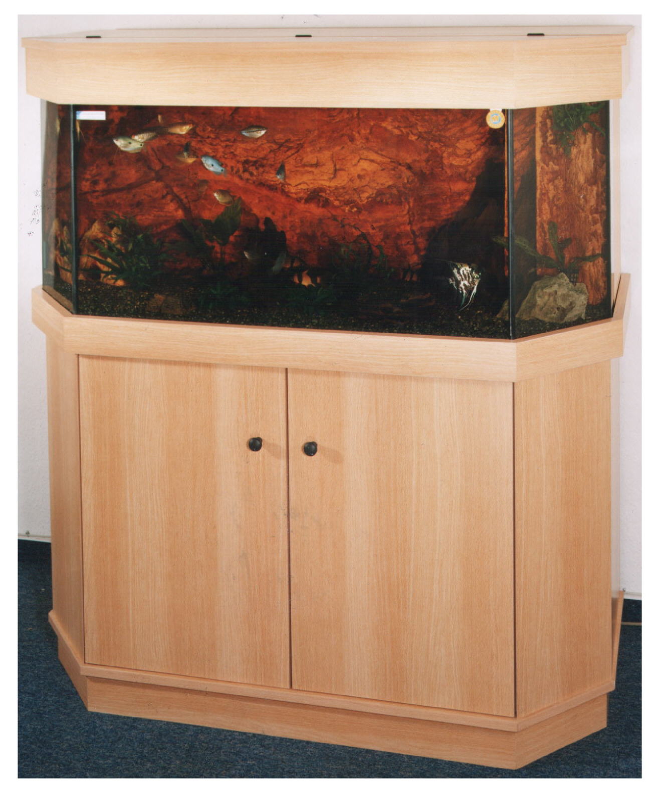 Eine Aquarienkombination