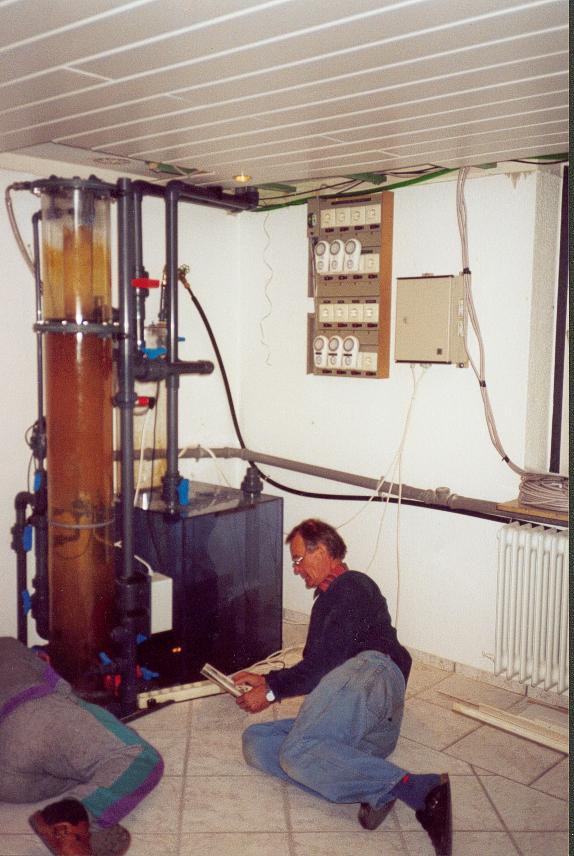 Bilder aus der Werkstatt