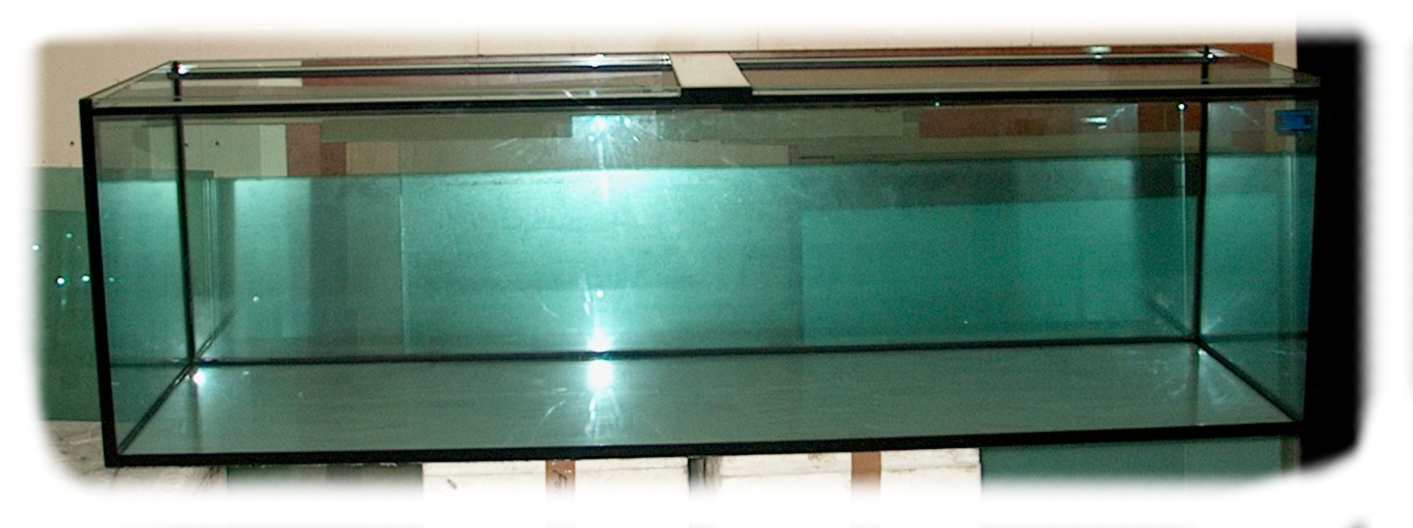 Bilder aus der Werkstatt